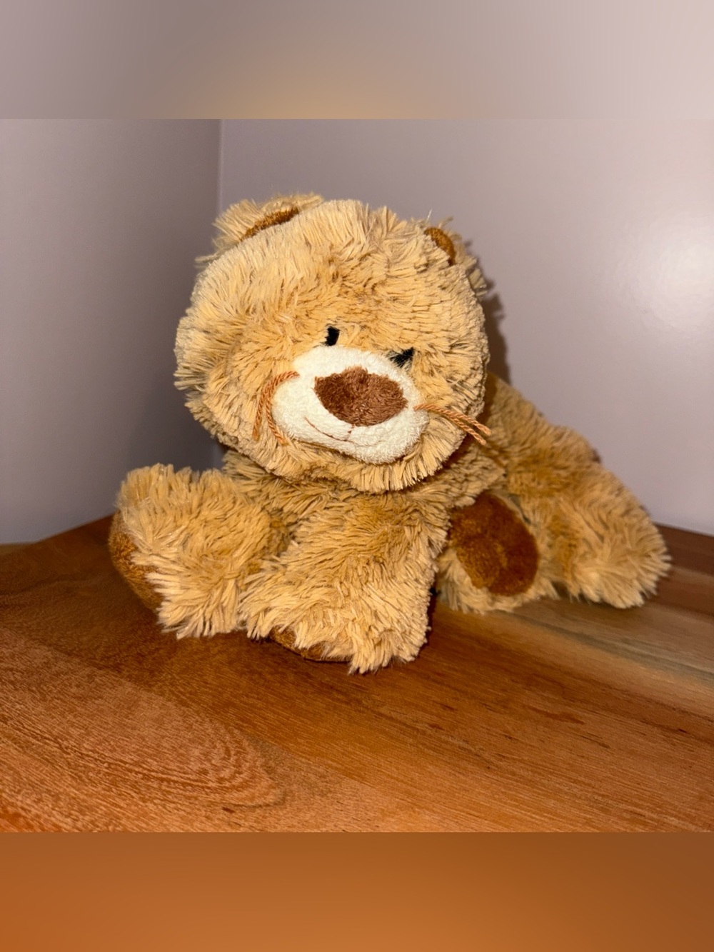 Ty 2006 Tangy the Kitty Cat TySilk 10" Stuffed Animal Plush